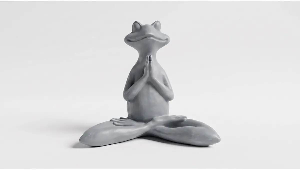 Yoga Yapan Kurbağa