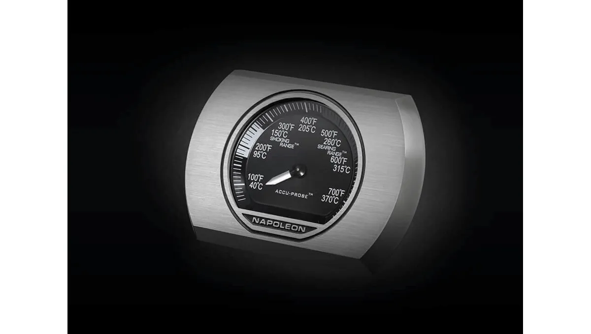 Napoleon Rogue XT 625 SIB Gazlı Barbekü