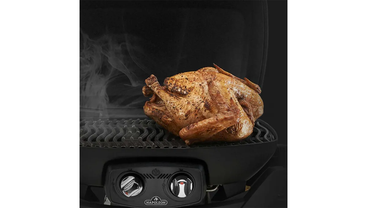 Napoleon Travelq Pro285X Portatif Gazlı Barbekü 